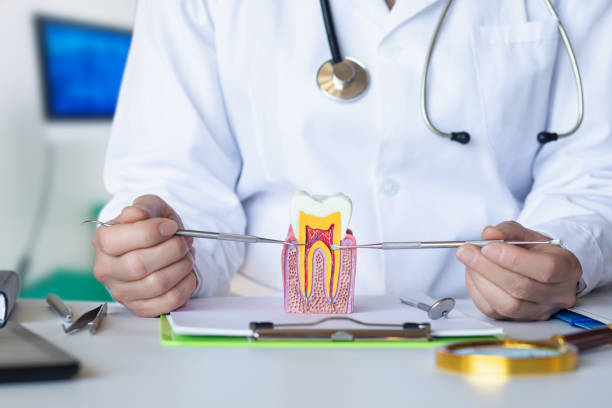 Best Emergency Wisdom Tooth Extraction in Clksville, AR
